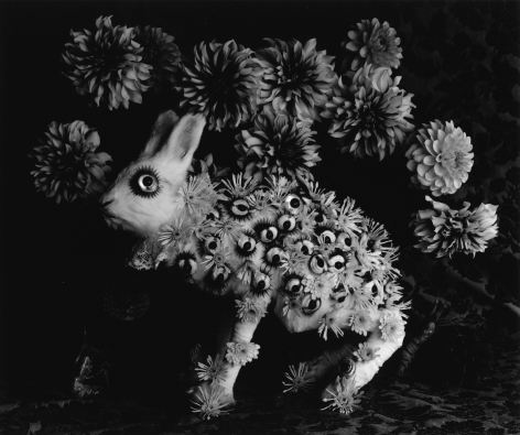 Michiko Kon rabbit